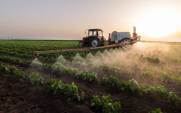 Reliable Pecan Plantation, TX Pest Control Solutions