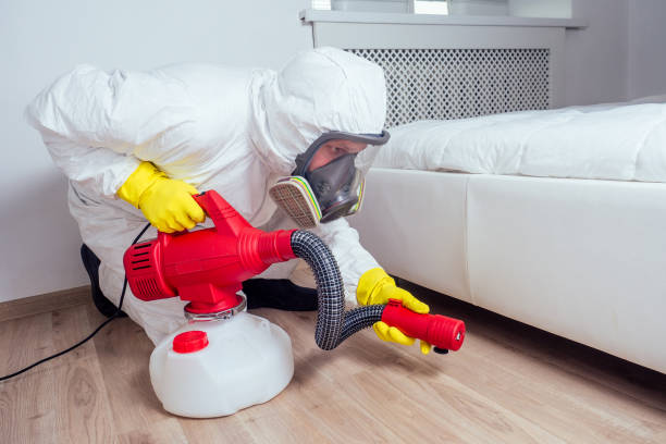 Best Pest Prevention Services  in Pecan Plantation, TX