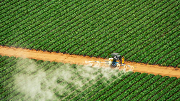 Best Insect Control  in Pecan Plantation, TX