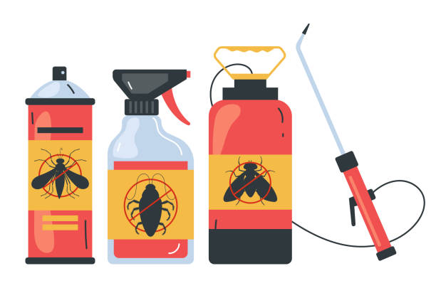 Best Affordable Pest Control Services  in Pecan Plantation, TX