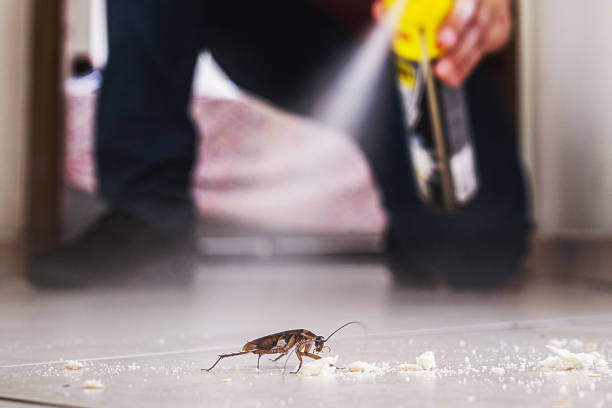 Best Cockroach Control Services  in Pecan Plantation, TX