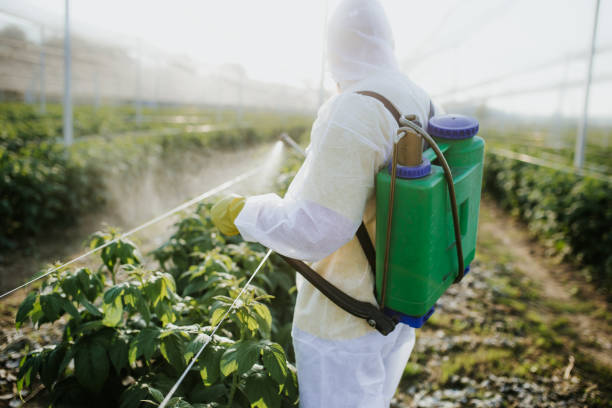 Best Best Pest Control Companies  in Pecan Plantation, TX